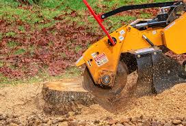 Best Aeration Services  in Wausau, WI